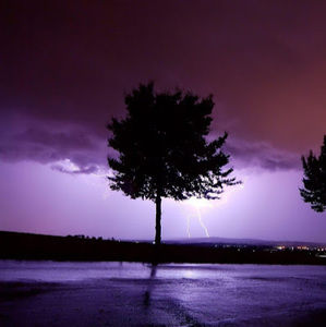 Meet your Posher, Woah